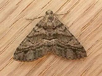 Description de cette image, également commentée ci-après