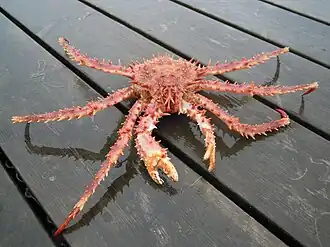 Description de cette image, également commentée ci-après