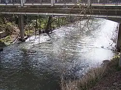 Un grand ruisseau de 4,5 m de large, enjambé par un pont en béton (pas l'Antelope Creek Bridge), avec des tuyaux en métal en dessous. De la végétation éparse pousse sur les rives du ruisseau.