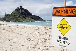 Plage avec un panneau « warning. Shark sighted. Keep out » et le logo d'un requin.