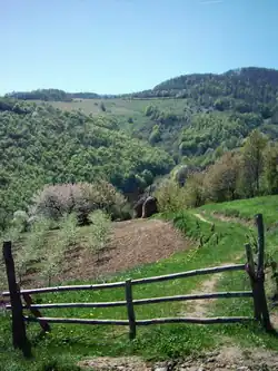 Ljubičevac (Stragari)