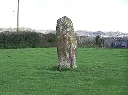 Image illustrative de l’article Menhir de Llanddyfnan