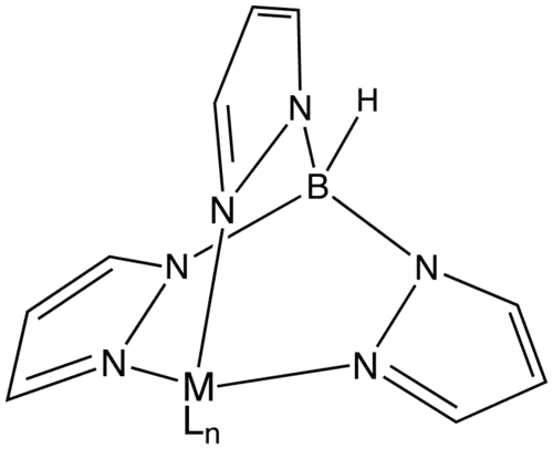 Géométrie idéalisée d'un centre métallique M, éventuellement lié à ses ligands Ln, lié aux trois pyrazoles du ligand Tp.