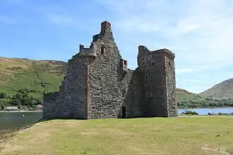 Vue d'ensemble des ruines d'une forteresse au bord de l'eau, sur un terrain herbeux.
