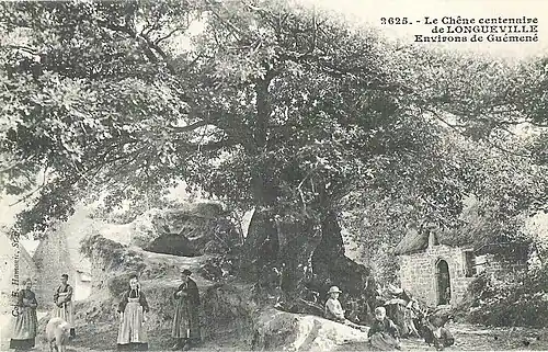 Villageois posant près du chêne centenaire de Longueville. Les femmes portent le costume du Pays Pourlet (carte postale Émile Hamonic).