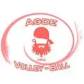 Logo du Agde Volley-Ball