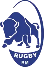 Logo du CSM Baia Mare