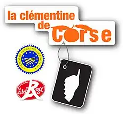 Image illustrative de l’article Clémentine de Corse