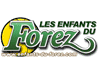 Ancien logo.