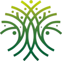 Image illustrative de l’article Jàmm ak Njariñ