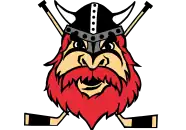 Nybro Vikings logo 2021.svg