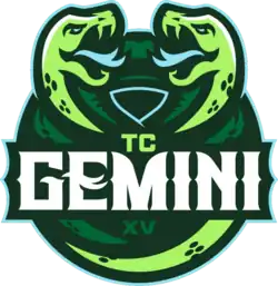 Logo du Twin Cities Gemini