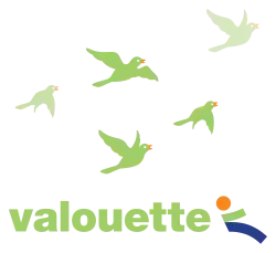 Image illustrative de l’article Réseau de bus Valouette