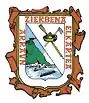 Logo du Club d'aviron Zierbena