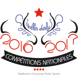 Logo du championnat de France 2016-2017