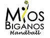 Logo du Union sportive Mios-Biganos Handball