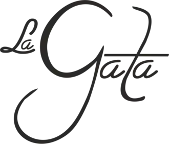 Image illustrative de l’article La gata (série télévisée, 2014)