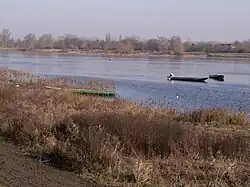 La Loire à La Pointe.