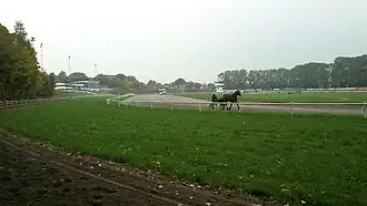 Driver à l'entraînement avec un trotteur sur l'hippodrome Jydsk Væddeløbsbane d'Aarhus.