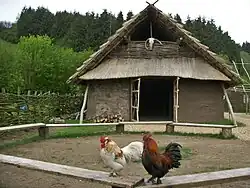 The Long house et coqs domestiques