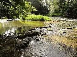 L'Ornain à Longeville, en amont.
