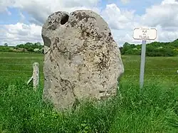 Image illustrative de l’article Menhir de la Longue Pierre