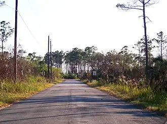 Image illustrative de l’article Loop Road