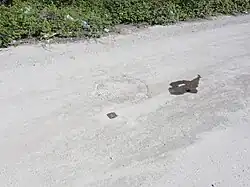 La tête de puits matérialisée.