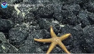 Description de cette image, également commentée ci-après