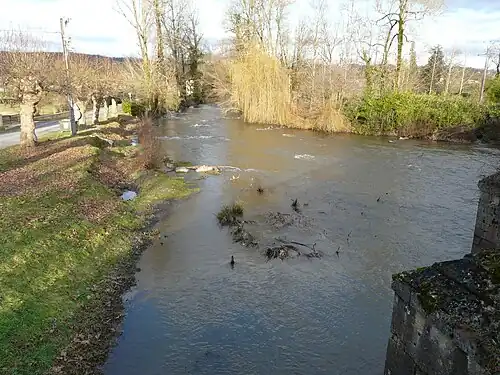 La Loue en amont du pont de la RD 705.