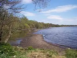 Le Lough Neagh à Shane's Castle (comté d'Antrim).