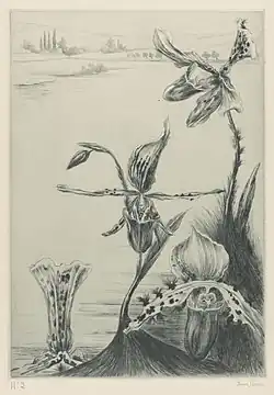 Louise Danse, Iris, Bibliothèque Royale de Belgique