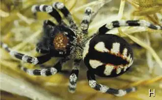 Description de cette image, également commentée ci-après