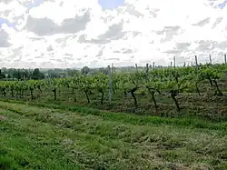 Côtes-de-Saint-Mont