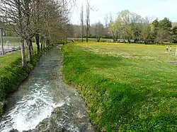 La Louyre juste avant son confluent avec le Caudeau.