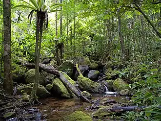 Description de cette image, également commentée ci-après