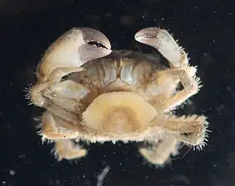 Description de cette image, également commentée ci-après