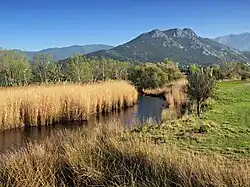 le Regino en aval de son embouchure