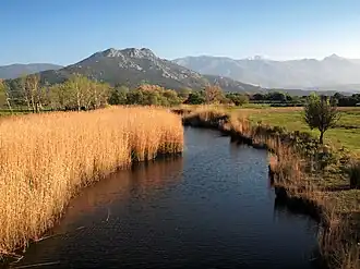 Le Regino à Lozari (Belgodère).