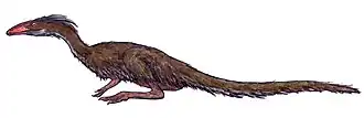 Description de l'image Lucianovenator restoration.jpg.