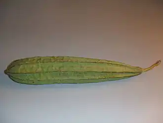 Description de l'image Luffa acutangula1.jpg.