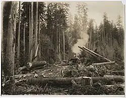 Image illustrative de l’article La Plus Précieuse des marchandises (livre)