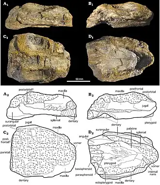 Description de cette image, également commentée ci-après