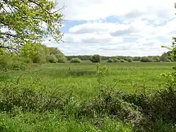 Paysage à proximité de la fontaine de l'Ermite, Lussat.