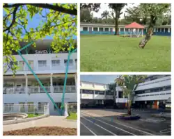 Description de l'image Lycée Français Dominique Savio.png.