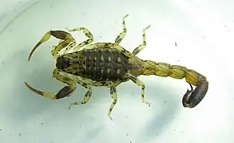 Description de cette image, également commentée ci-après