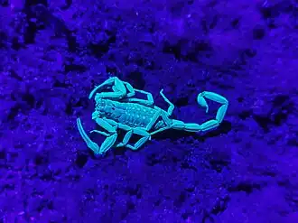 Description de cette image, également commentée ci-après