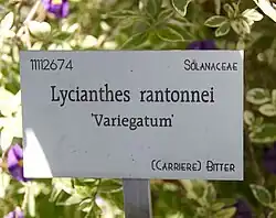Panonceau dans un jardin de Louvain en Belgique