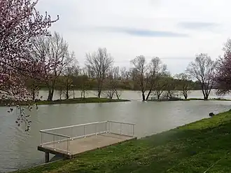 Vue "Rhône et lônes".