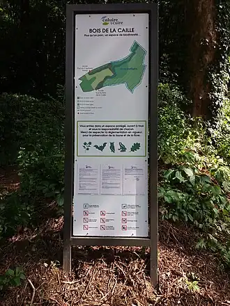 Image illustrative de l’article Bois de la Caille